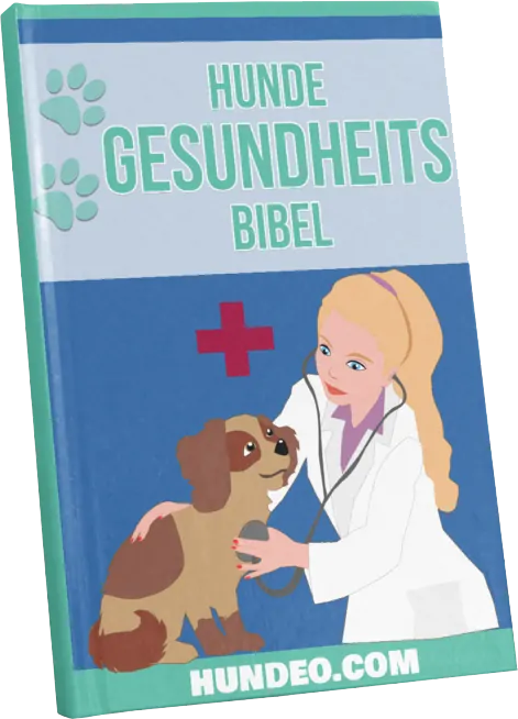 hunde-gesundheits-bibel-50-1-794x1024